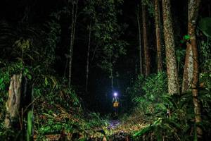 BIB: 
                            <button type="button" onclick="openModal(26207553)" class="btn btn-primary btn-sm float-right btn-popup" data-toggle="modal" data-target=".modal-high-quality">
                        <i class="fas fa-shopping-cart"></i> Add to Cart
                    </button>
                                            <button type="button" onclick="isThisMe(26207553, true)" class="btn btn-success btn-sm float-right btn-popup btn-isme hidden" data-toggle="tooltip" data-placement="bottom" title="นี่คือรูปของคุณใช่ไหม คลิกที่นี่เพื่อเอาเข้าอัลบั้ม">
                        <i class="fas fa-plus"></i> Add to album
                    </button>
                    <button type="button" onclick="isThisMe(26207553, false)" class="btn btn-warning btn-sm float-right btn-popup btn-isnotme hidden">
                        <i class="fas fa-ban"></i> Remove from album
                    </button>